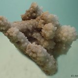 Calcita
6 x 4 cm
(Autor: Joan Niella)