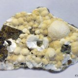 Escolecita
75x40 mm
(Autor: Joan Niella)