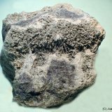 Actinolita
45x45 mm
(Autor: Joan Niella)