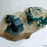 Dioptasa
30 x 18 mm
(Autor: Joan Niella)