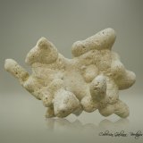 Ópalo (variedad menilito)
78 x 56 x 33 mm
(Autor: Rafael Galiana)
