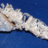 Plata Nativa
3 x 1.5 cm
(Autor: Cosme Perez)