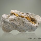 Oro
80 x 37 x 35 mm.
(Autor: Rafael Galiana)