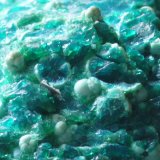 Crisocola
Medidas pieza: 8x7,5x4,5 cm
(Autor: Sergio Pequeño)