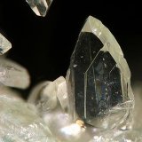 Senegalita
Encuadre de la fotografía 3 mm.
(Autor: Rafael Galiana)
