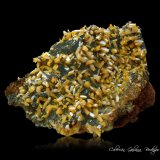 Wulfenita
103 x 86 x 72 mm..
(Autor: Rafael Galiana)