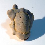 Ópalo (variedad menilita)
Medidas pieza: 2,8x2,2x1,5 cm
(Autor: Sergio Pequeño)