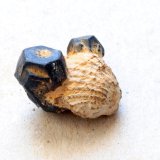Goethita pseudomórfica de Pirita
Medidas pieza: 1,8x1,5x1 cm
(Autor: Sergio Pequeño)