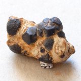 Goethita pseudomórfica de Pirita
Medidas pieza: 2,5x1,7x1,2 cm
(Autor: Sergio Pequeño)