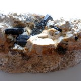 Chorlo
Medidas pieza: 19x10x7 cm
(Autor: Sergio Pequeño)