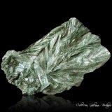 Clinocloro (variedad serafinita)
88 x 57 x 50 mm.
(Autor: Rafael Galiana)