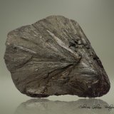 Hedenbergita
82 x 67 x 60 mm.
(Autor: Rafael Galiana)