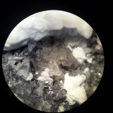 Cerusita
macro x 20 aumentos
(Autor: Javier Rodriguez)