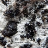 Villamanínita
Encuadre 6 x 6 mm.
(Autor: Rafael Galiana)
