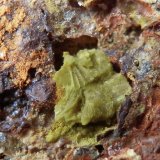 Calcioferrita
Encuadre 8 x 8 mm.
(Autor: Rafael Galiana)