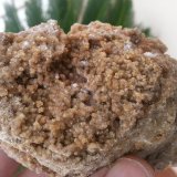 Calcita
8 x 6 x 5 cm
(Autor: Javier Rodriguez)