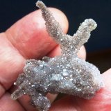 Cuarzo (variedad amatista)
3,5  x 3 cm.
(Autor: javier ruiz martin)