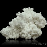 Aragonito (variedad coraloide)
112 x 81 x 56 mm.
(Autor: Rafael Galiana)