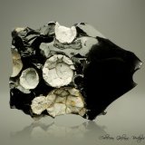 Cristobalita y Fayalita en Obsidiana
93 x 75 x 49 mm.
(Autor: Rafael Galiana)