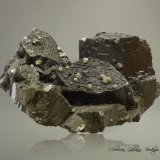 Enargita
81 x 73 x 43 mm
(Autor: Rafael Galiana)