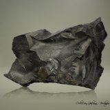 Azabache
101 x 73 x 35 mm
(Autor: Rafael Galiana)