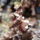Cobre
Encuadre 6 x 6 mm.
(Autor: Rafael Galiana)