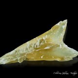 Yeso
133 x 65 x 11 mm
(Autor: Rafael Galiana)