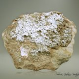 Hidromagnesita
89 x 69 x 66 mm
(Autor: Rafael Galiana)