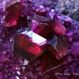 Clinocloro (variedad clinocloro crómico / kämmererita)
Encuadre de la fotografia 15 mm.
(Autor: Rafael Galiana)