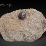 Pirita
91 x 51 x 22 mm.
(Autor: Rafael Galiana)