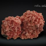 Rhodonita (Rodonita)
87 x 45 x 65 mm.
(Autor: Rafael Galiana)