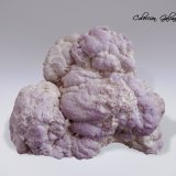 Fosfosiderita con Crandallita
77 x 57 x 63 mm
(Autor: Rafael Galiana)