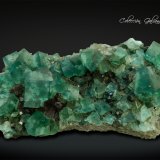 Fluorita con Galena
102 x 61 x 26 mm.
(Autor: Rafael Galiana)