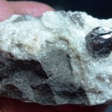 Cinabrio, Cuarzo, Dolomita
6 x 4 cm. la pieza, 0,8 x 0,5 cm. el cristal
(Autor: javier ruiz martin)