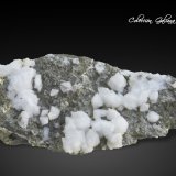 Gismondina
92 x 43 x 29 mm
(Autor: Rafael Galiana)