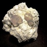 Calcita, Sepiolita
6 x 5 cm.
(Autor: javier ruiz martin)