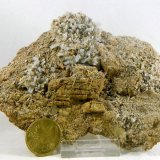 Celestina
150x110x15 mm
(Autor: Luis Ramón Coves)