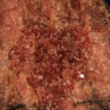Rodonita.
3x2 cm.
(Autor: Rafa Muñoz(mineralvarado))