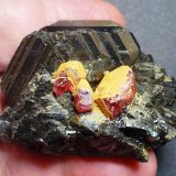 Esfalerita, Rejalgar, Oropimente
6 x 4 cm.
(Autor: javier ruiz martin)