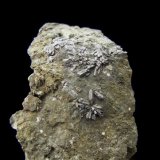 Gratonita
Pieza; 4x2,6cm. Cristal; 0,4cm.
(Autor: DAni)