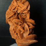 Yeso
8.5 x 4 cm
(Autor: Pedro Antonio)