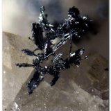 Plata recubierta por Acantita
Cristal 1 mm.
(Autor: Rafa Muñoz(mineralvarado))