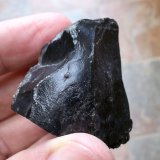 obsidiana
3,5 x 3 cm
(Autor: Cristalino)