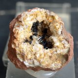 Goethita
3.5 x 3.5 cm
(Autor: Pedro Antonio)