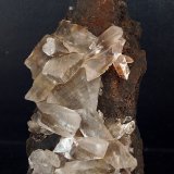 Yeso
12 x 5.5 cm
(Autor: Pedro Antonio)