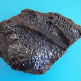 Goethita
14 x 12 cm.
(Autor: canada)