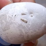 Ópalo
3,5 x 3 cm.
(Autor: Cristalino)