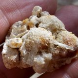 Fluorapatito
2,5 x 2,5 cm
(Autor: Cristalino)