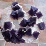 Fluorita
8 x 6,8 cm
(Autor: Cristalino)