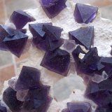 Fluorita
8 x 6,8 cm
(Autor: Cristalino)